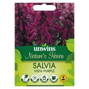 Unwins Flower Salvia Vista Purple - 20 Seeds