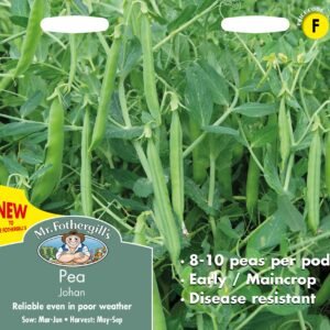 Mr Fothergills - Vegetable - Pea - Johan - 300 Seeds
