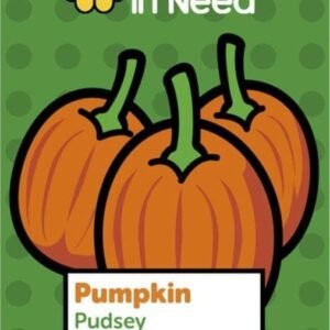 Mr Fothergills Children in Need Pumpkin Pudsey 100 Seeds