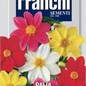 Franchi Seeds of Italy - Flower - FDBF_ 317-1 - Dahlia Single Flower Mix - Seeds