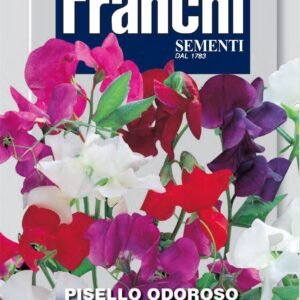 Franchi Seeds of Italy - Flower - FDBF_ 344-1 - Sweet Pea - Grandiflora - Mix - Seeds
