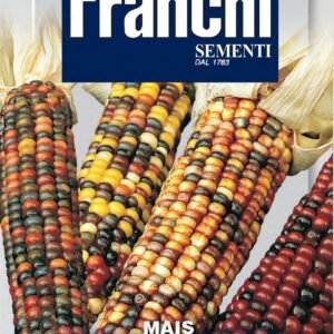 Franchi Seeds of Italy - Flower - FDBF_ 88-30 - Ornamental Corn - Seeds