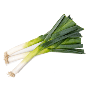 Leek Floccus RZ F1 Hybrid (38-LE005) Seeds