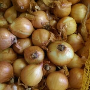 Shallot Sets Golden Gourmet