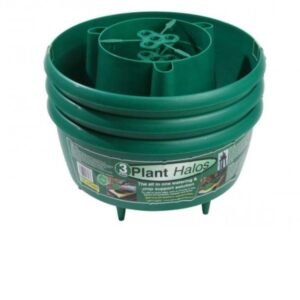 Garland - Plant Halos in Green - Set of 3 - G167G