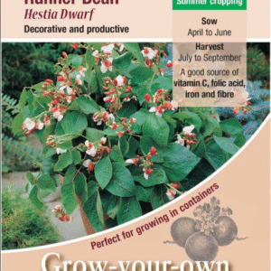 Kings Seeds Dwarf Runner Bean Hestia 45 Seeds