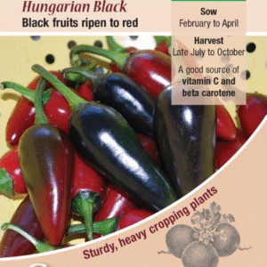 Kings Seeds Chilli Pepper Hungarian Black 10 Seeds
