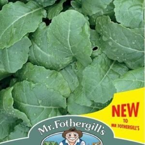 Mr Fothergills - Vegetable - Kale (Ethiopian) Amara - 500 Seeds