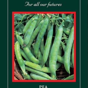 Suffolk Herbs Organic Pea Kelvedon Wonder 200 Seed