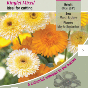 Kings Seeds Edible Calendula Kinglet Mixed Seeds