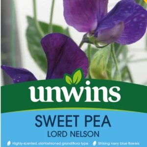 Unwins Flower Sweet Pea Lord Nelson - 21 Seeds