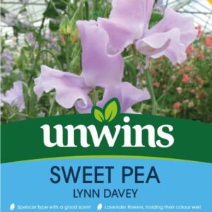 Unwins Flower Sweet Pea Lynn Davey - 21 Seeds