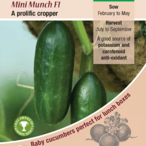 Kings Seeds Cucumber Mini Munch F1 - 4 Seeds