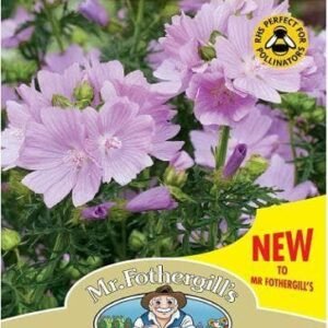 Mr Fothergills - Wild Flower - Musk Mallow - 250 Seeds