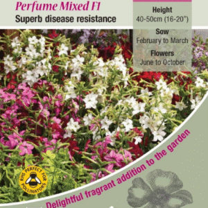 Kings Seeds Nicotiana Perfume Mixed F1 - 100 Seed