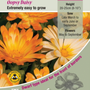 Kings Seeds Calendula Oopsy Daisy 100 Seed