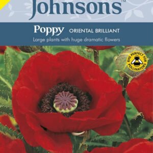 Johnsons Seeds - Edible Flower - Poppy Oriental Brilliant Seeds