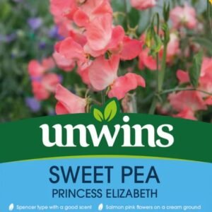 Unwins Flower Sweet Pea Princess Elizabeth - 21 Seeds