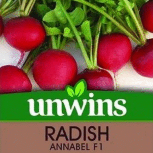Unwins Radish (Globe) Annabel F1 - 100 Seeds