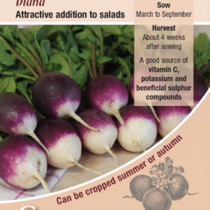 Kings Seeds Radish Diana 250 Seeds