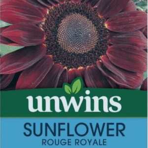 Unwins Sunflower Rouge Royale 16 Seeds