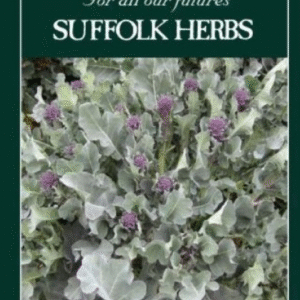 Suffolk Herbs Organic Broccoli Purple Sprouting Santee F1