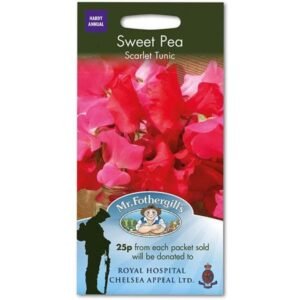 Mr Fothergills Sweet Pea Scarlet Tunic 20 Seeds