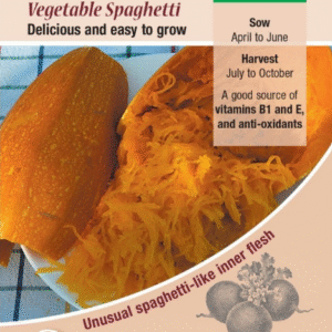 Kings Seeds Squash Vegetable Spaghetti 8 Seeds