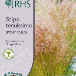 Mr Fothergills RHS Flower Stipa Tenuissima Pony Tails  100 Seeds
