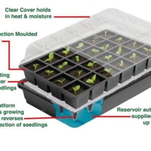 24 Cell Self Watering Seed Success Kit - Garland G165