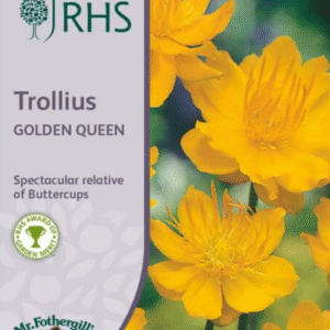 Mr Fothergills Trollius Golden Queen 20 Seeds